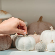 Load image into Gallery viewer, XS Felt Pumpkin White