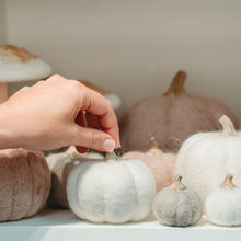 Load image into Gallery viewer, L Felt Pumpkin Grey