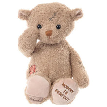 Load image into Gallery viewer, Nobody is Perfect Bear