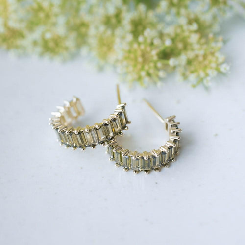 Moss Chara Hoops
