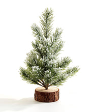 Load image into Gallery viewer, Mini Pine Tree