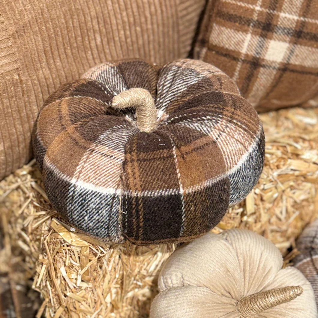 Small Austin Plaid Pumpkin