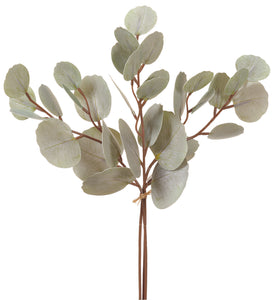 Eucalyptus Leaf Bundle