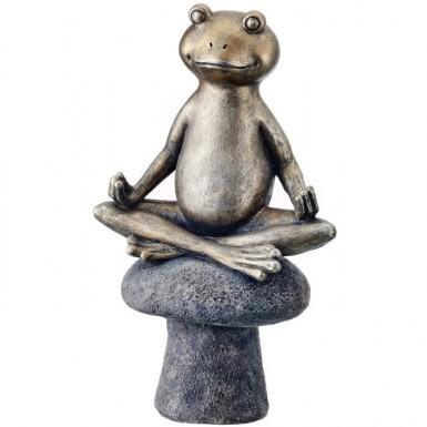 Mushroom Yoga Frog