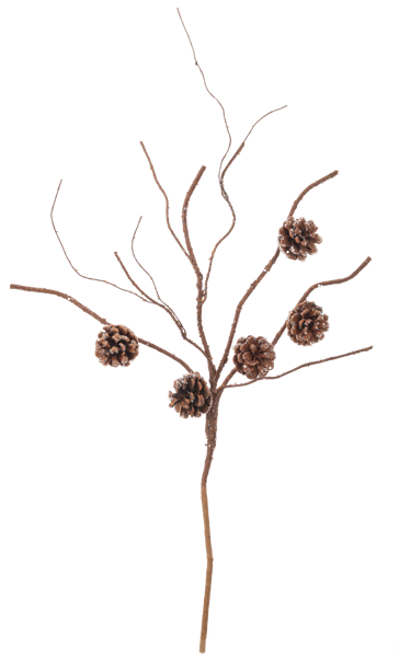Twig & Pinecone Spray