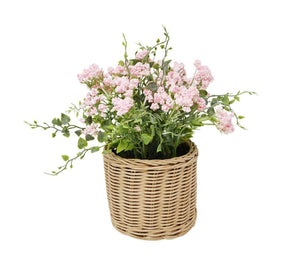 Light Pink Flowering Pot