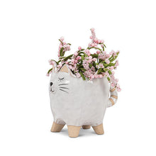 Load image into Gallery viewer, Kitty Pot