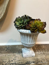 Load image into Gallery viewer, Small Cement Urn Planter