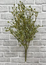 Load image into Gallery viewer, Green Seedum Bush
