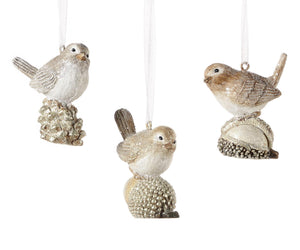 Mini Bird Nut Ornaments