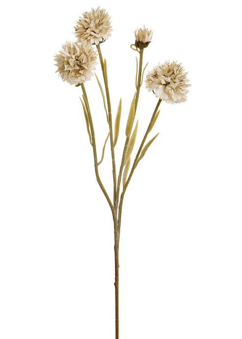 Yellow Flower Branch