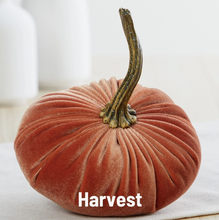 Load image into Gallery viewer, Handmade Velvet Pumpkins- Assorted Colours