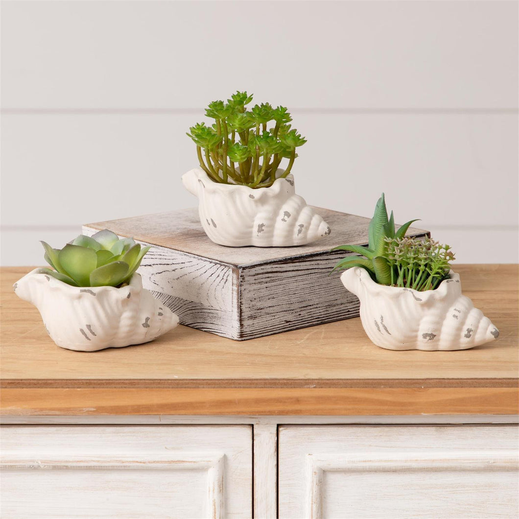 Faux Succulent in Conch Shell