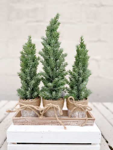 Holiday Potted Tree Set of 3