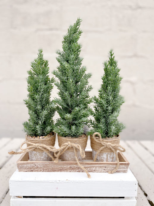 Holiday Potted Tree Set of 3