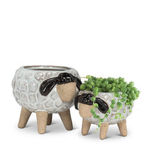 Load image into Gallery viewer, Small Sheep Planter