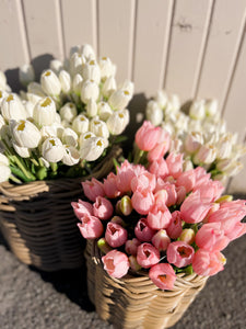 Real Touch White Tulips