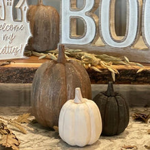 Load image into Gallery viewer, Small White Tall Pumpkin