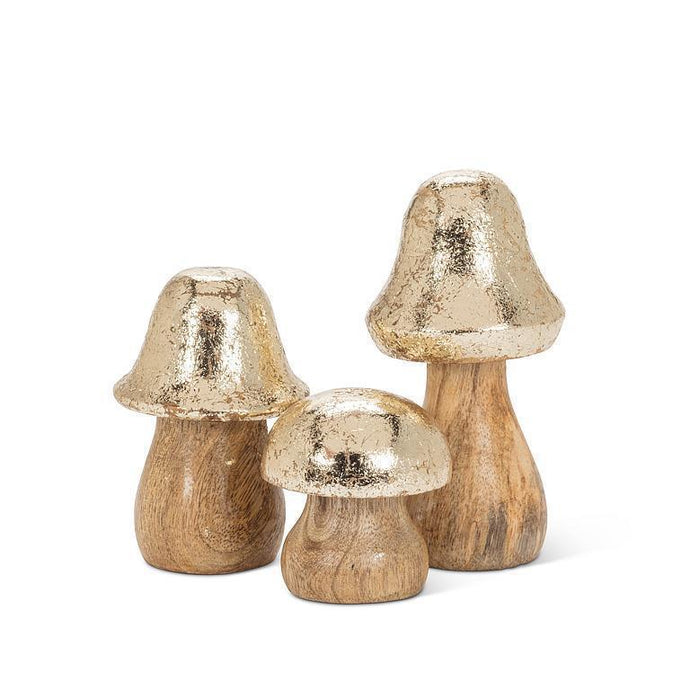 Chubby Gold Top Mushrooms