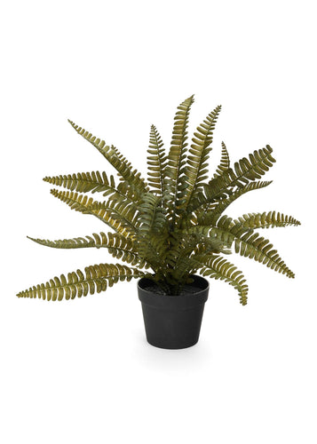 Faux Fern in Pot