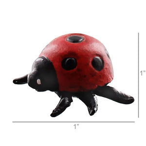 Lady Bug