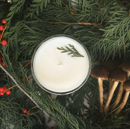 Forest | Fraser Fir + Balsam + Spice