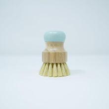 Load image into Gallery viewer, Soft Bristle Mint Cleaning Dish Brush