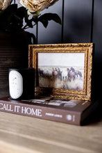 Load image into Gallery viewer, Wild Horses French Brass Framed Artwork