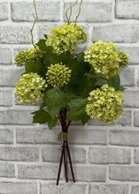 Load image into Gallery viewer, Green Snowball Bundle