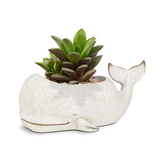 Large Grey Whale Planter