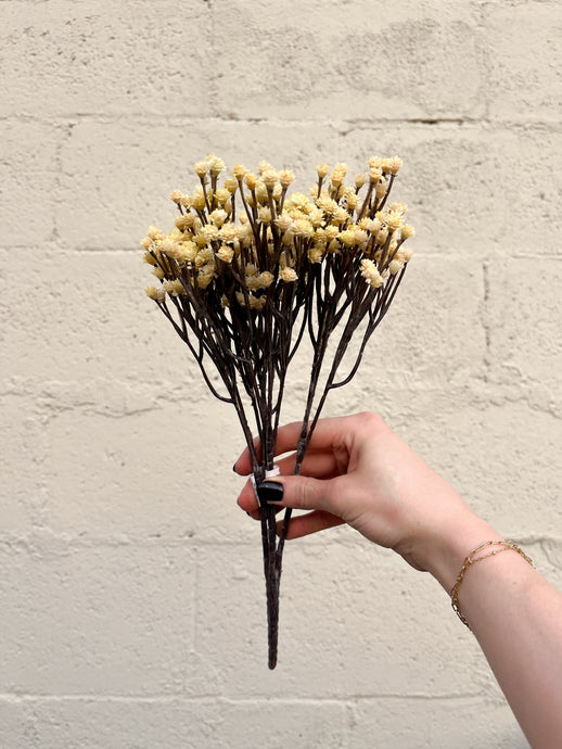 Baby's Breath Fresh Touch