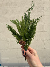 Load image into Gallery viewer, 13&quot; Fresh Touch Juniper &amp; Norfolk Mixed Pick