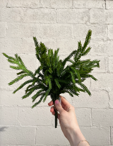 Fresh Touch Norfolk Pine Bundle