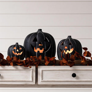 Black Pumpkin Luminaries