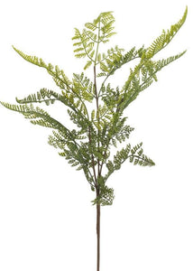 Lace Fern Spray