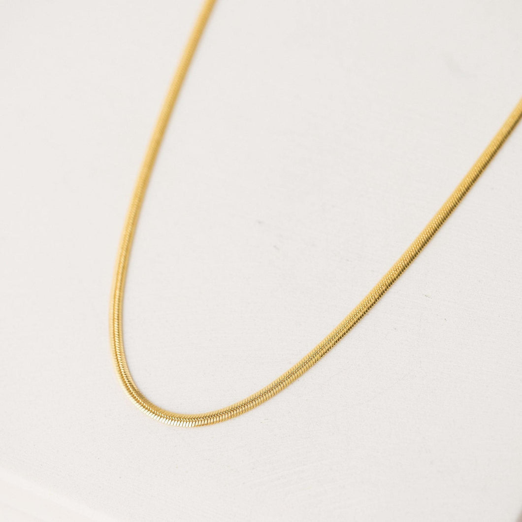 Herringbone Chain Necklace