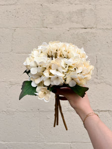 Cream Hydrangea Bundle