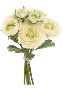 Ivory Ranunculus Bush