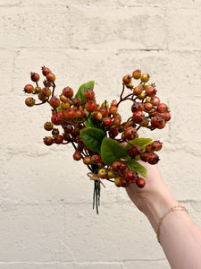 Fall Berry Bundle