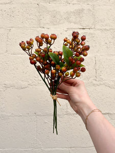 Fall Berry Bundle