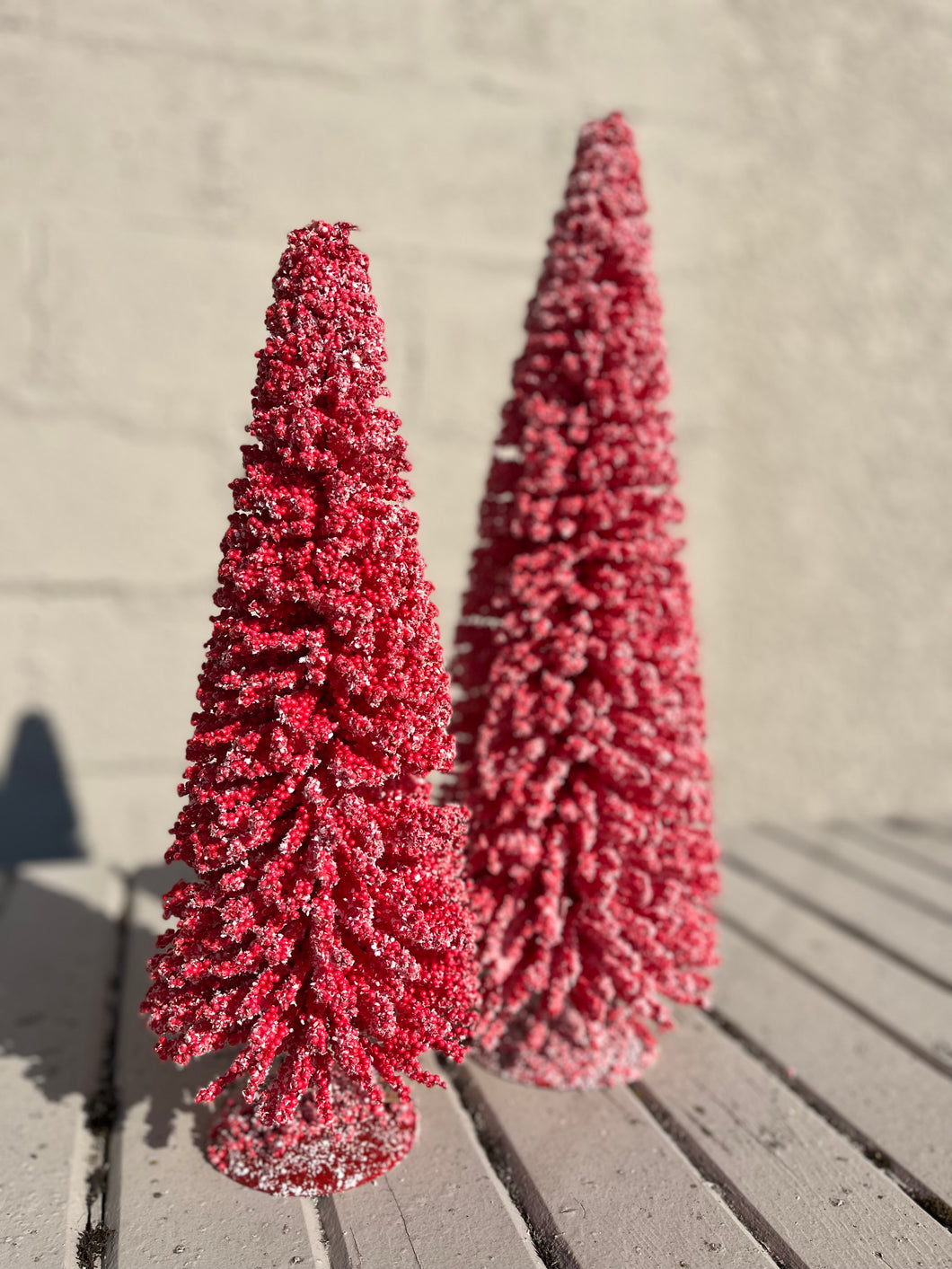 Red Snowy Bottle Brush Tree Round