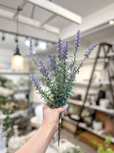 Load image into Gallery viewer, Lavender Bundle