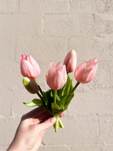 Real Touch Light Pink Tulips