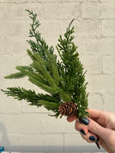Load image into Gallery viewer, 13&quot; Fresh Touch Juniper &amp; Norfolk Mixed Pick