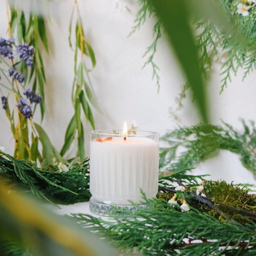 Woods | Vanilla + Cedarwood + Lavender