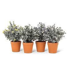 Terracotta Spring Floral Pots