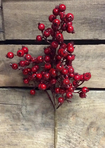 Wild Red Berry Spray