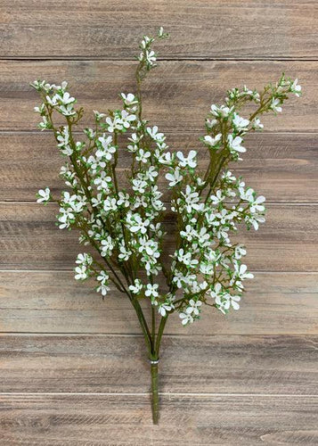 White Mini Flowers Bush