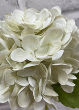 Load image into Gallery viewer, Fresh Touch Cream Hydrangea