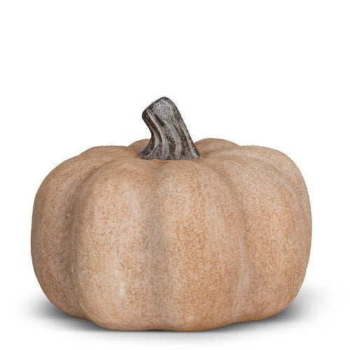 Small Squat Pumpkin